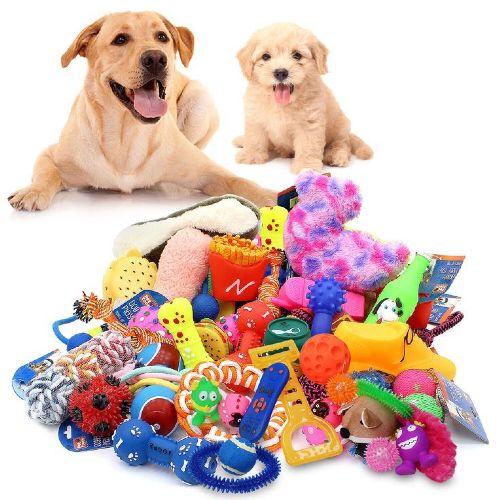 Pets Toys