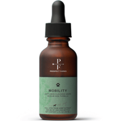 ALCOTT Bamboo Groom Curry Brush w Rubber Bristles